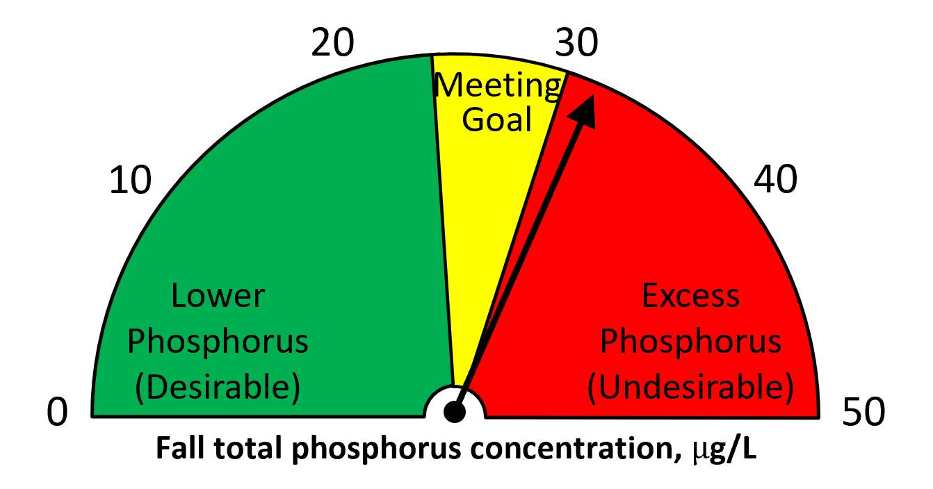 Fall 2024 total phosphorus = 31 ug/L.